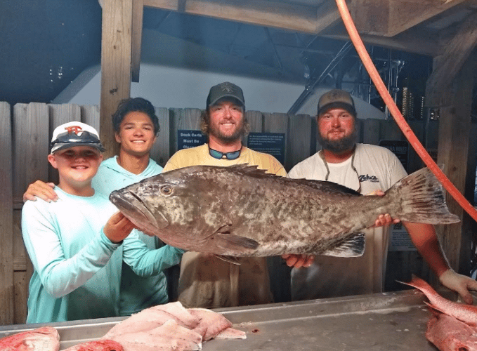 12 Hour Bottom Fishing/Trolling In Orange Beach