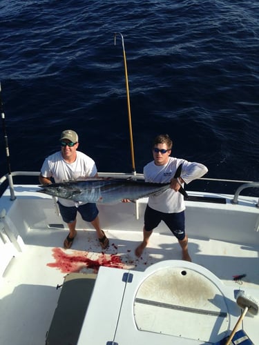 12 Hour Bottom Fishing/Trolling In Orange Beach