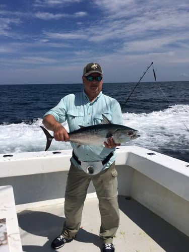 10 Hour Trolling/Bottom Fishing in Orange Beach