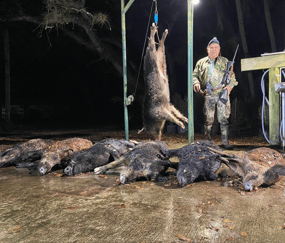 Okeechobee Hog Harvest With Lodging In Okeechobee