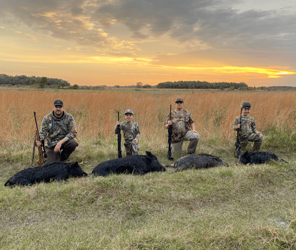 Okeechobee Hog Harvest In Okeechobee