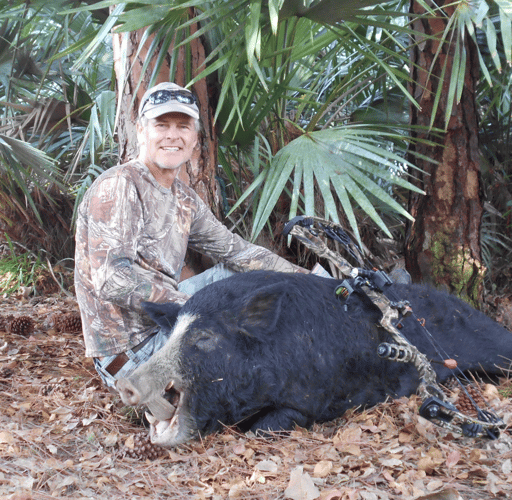 Okeechobee Trophy Hog Harvest In Okeechobee