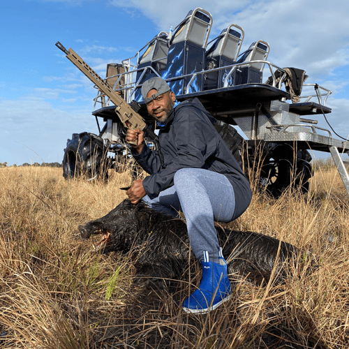 Okeechobee Hog Harvest With Lodging In Okeechobee