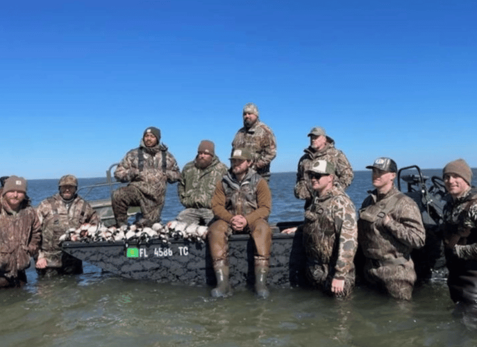 All Day Florida Quacker Smacker In Saint Marks