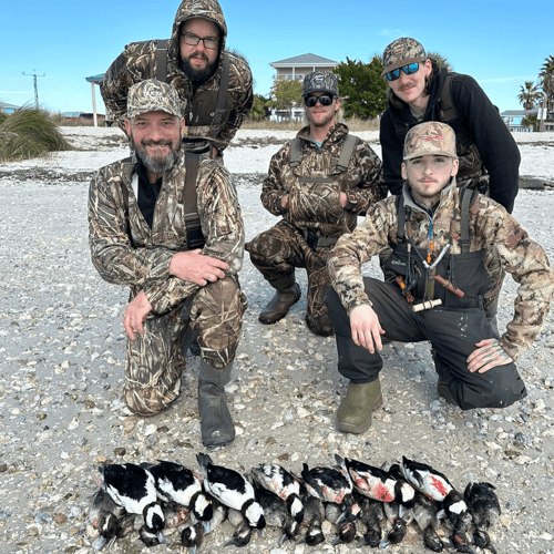 All Day Florida Quacker Smacker In Saint Marks