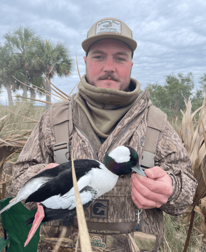 All Day Florida Quacker Smacker In Saint Marks