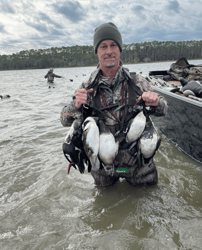 All Day Florida Quacker Smacker In Saint Marks