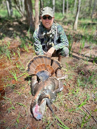 Takin' Down Turkeys In FL! In Lakeland