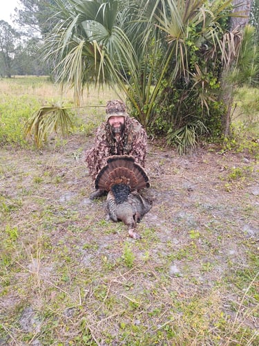 Takin' Down Turkeys In FL! In Lakeland