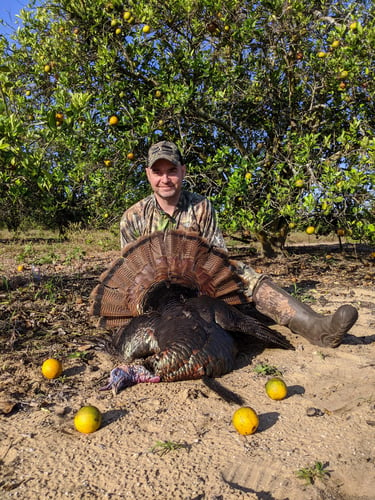 Takin' Down Turkeys In FL! In Lakeland