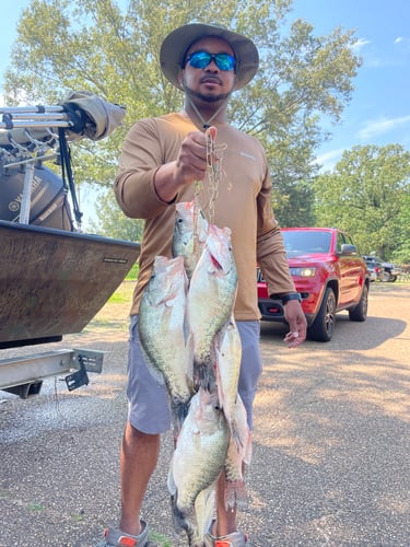 Trophy Crappie Fishing In North MS In Sardis