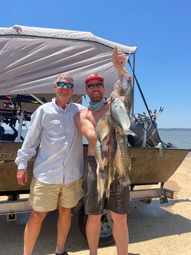 Trophy Crappie Fishing In North MS In Sardis