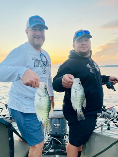 Trophy Crappie Fishing In North MS In Sardis