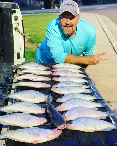 Trophy Crappie Fishing In North MS In Sardis