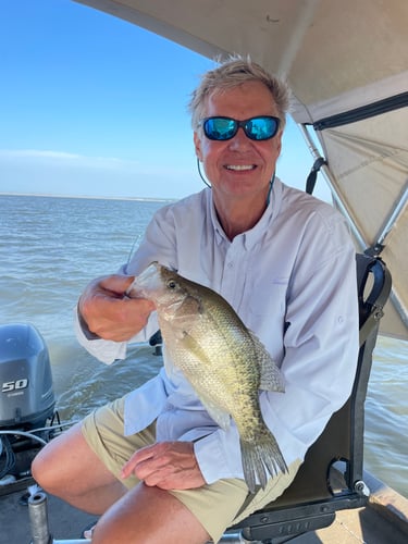 Trophy Crappie Fishing In North MS In Sardis