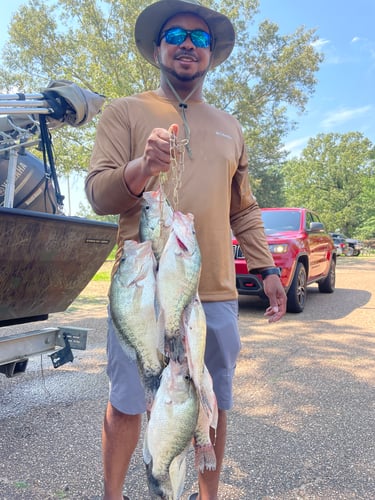 Trophy Crappie Fishing In North MS In Sardis