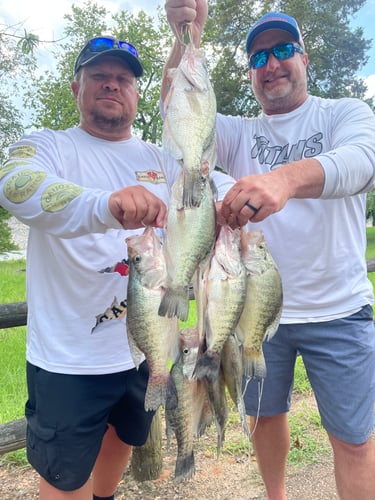 Trophy Crappie Fishing In North MS In Sardis