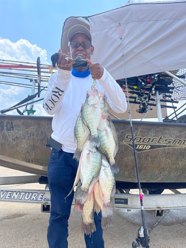 Trophy Crappie Fishing In North MS In Sardis