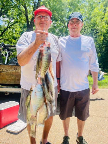 Trophy Crappie Fishing In North MS In Sardis