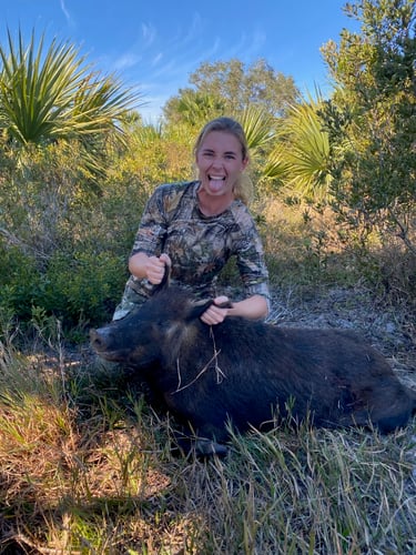 Okeechobee Trophy Hog Harvest In Okeechobee