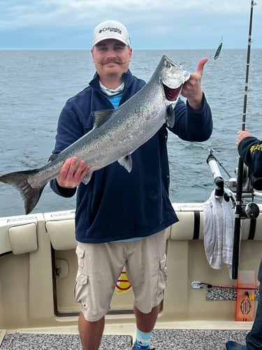 Muskegon Salmon Adventure In Muskegon