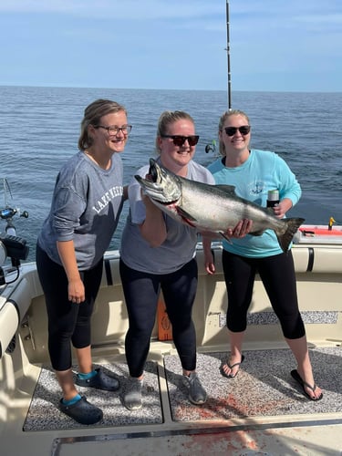 Muskegon Salmon Adventure In Muskegon