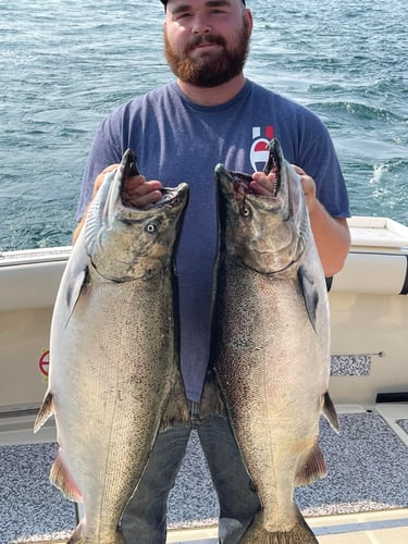 Muskegon Salmon Adventure In Muskegon