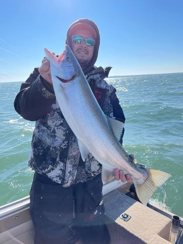 Muskegon Salmon Adventure In Muskegon