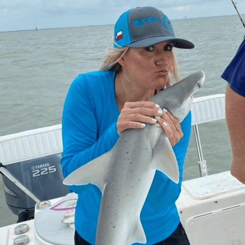 Galveston Sharks - 24’ Parker In Galveston