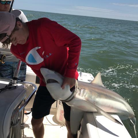 Galveston Sharks - 25’ Ranger In Galveston