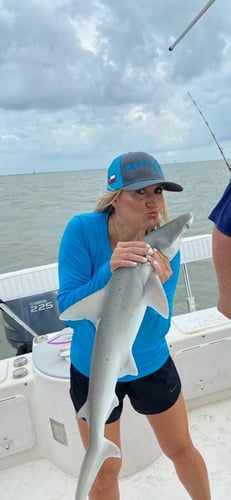 Galveston Sharks - 25’ Ranger In Galveston