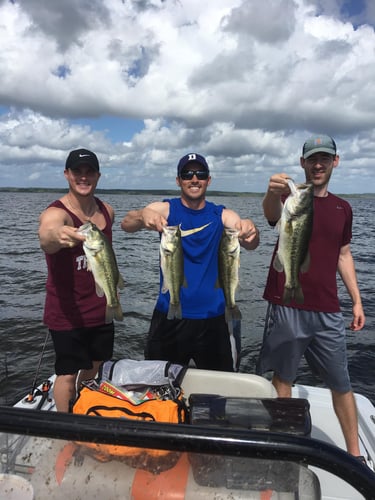 Full-Day on Toledo Bend in Etoile