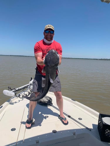 Full-Day on Toledo Bend in Etoile