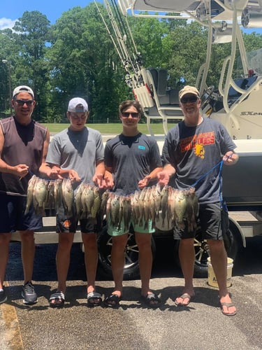 Full-Day On Toledo Bend In Etoile