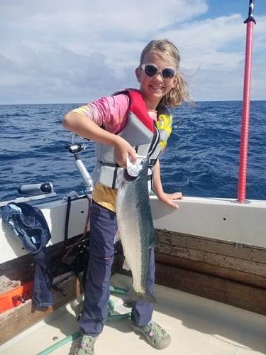 Kenosha Salmon Hookfest In Kenosha