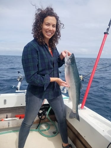 Kenosha Salmon Hookfest In Kenosha