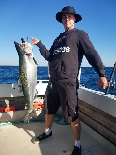 Kenosha Salmon Hookfest In Kenosha