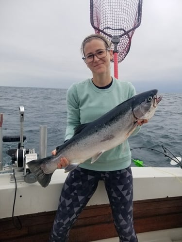 Kenosha Salmon Hookfest In Kenosha