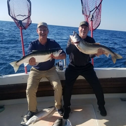 Kenosha Salmon Hookfest In Kenosha