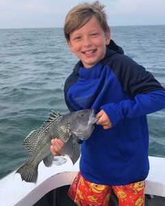 Cape Cod Striped Bass Blitz In Barnstable