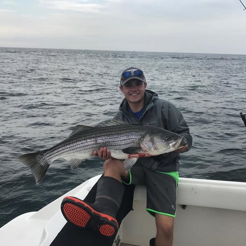 Cape Cod Striped Bass Blitz In Barnstable