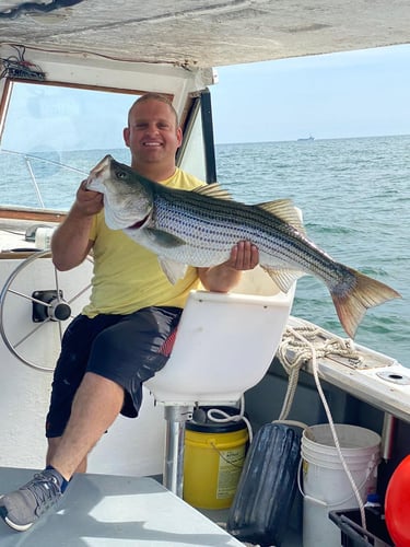 Cape Cod Striped Bass Blitz In Barnstable