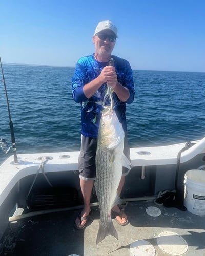 Cape Cod Striped Bass Blitz In Barnstable