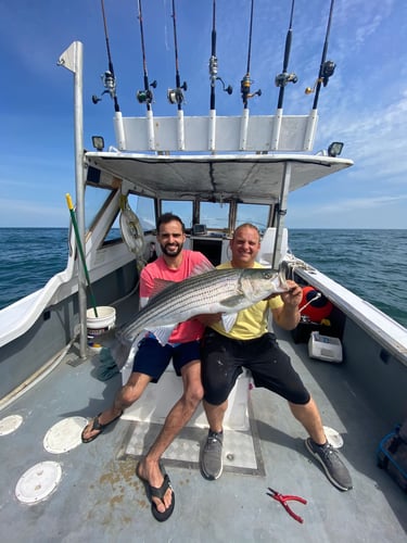 Cape Cod Striped Bass Blitz In Barnstable