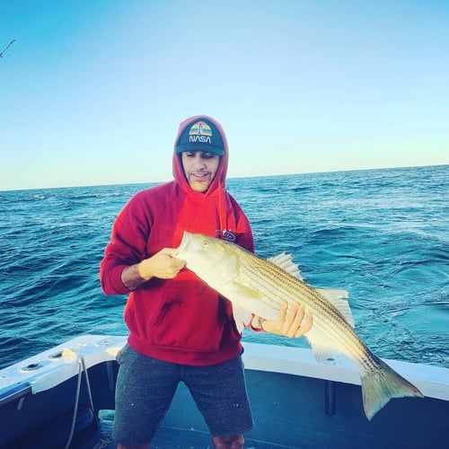 Cape Cod Striped Bass Blitz In Barnstable