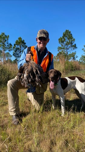 Bobwhite Quail Hunting Adventure In Venus