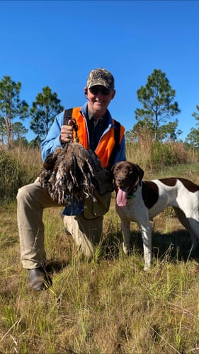 Bobwhite Quail Hunting Adventure In Venus