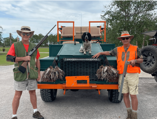 Bobwhite Quail Hunting Adventure In Venus