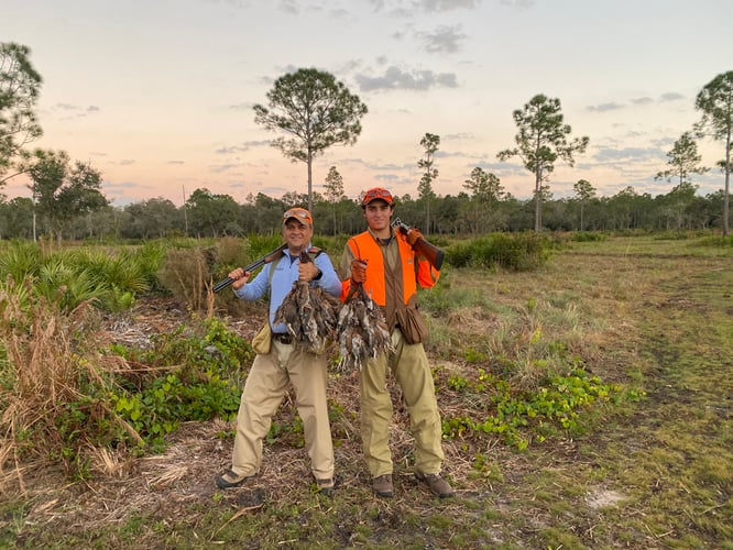 Bobwhite Quail Hunting Adventure In Venus