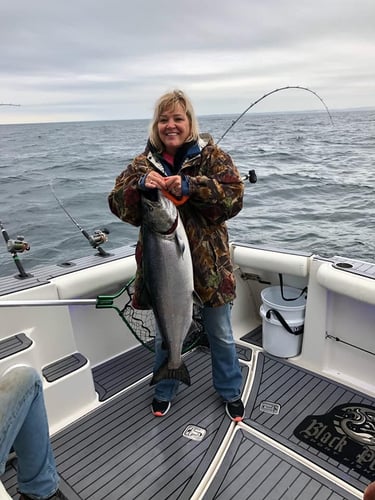 Lake Michigan Adventure In Algoma